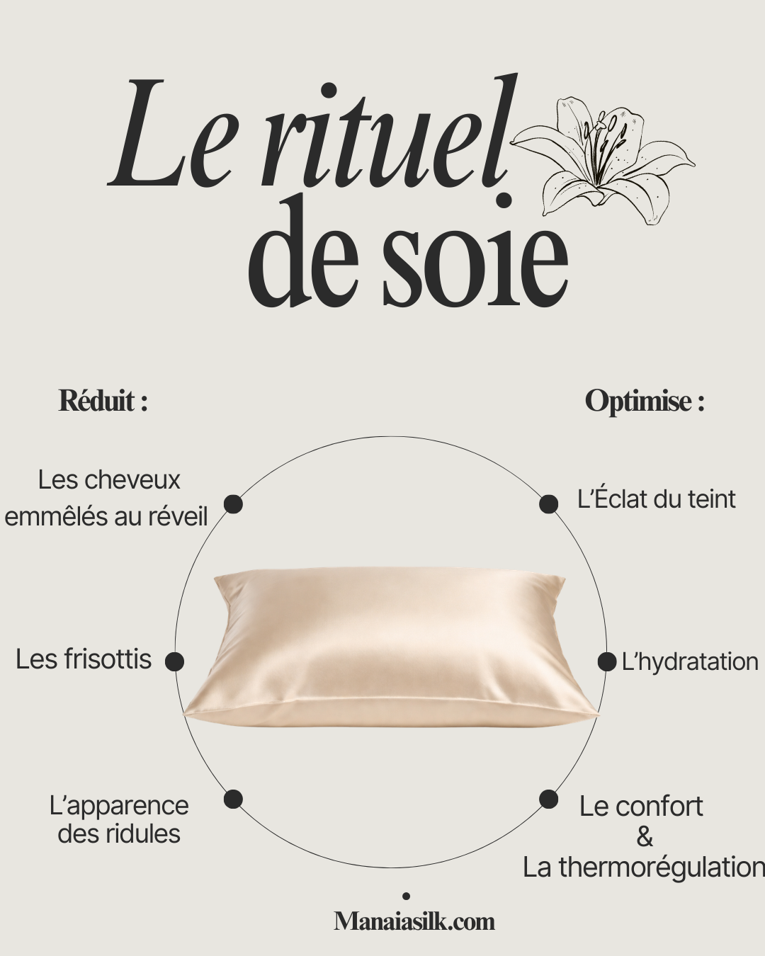 Taie d'oreiller 65x65CM - 100% Soie